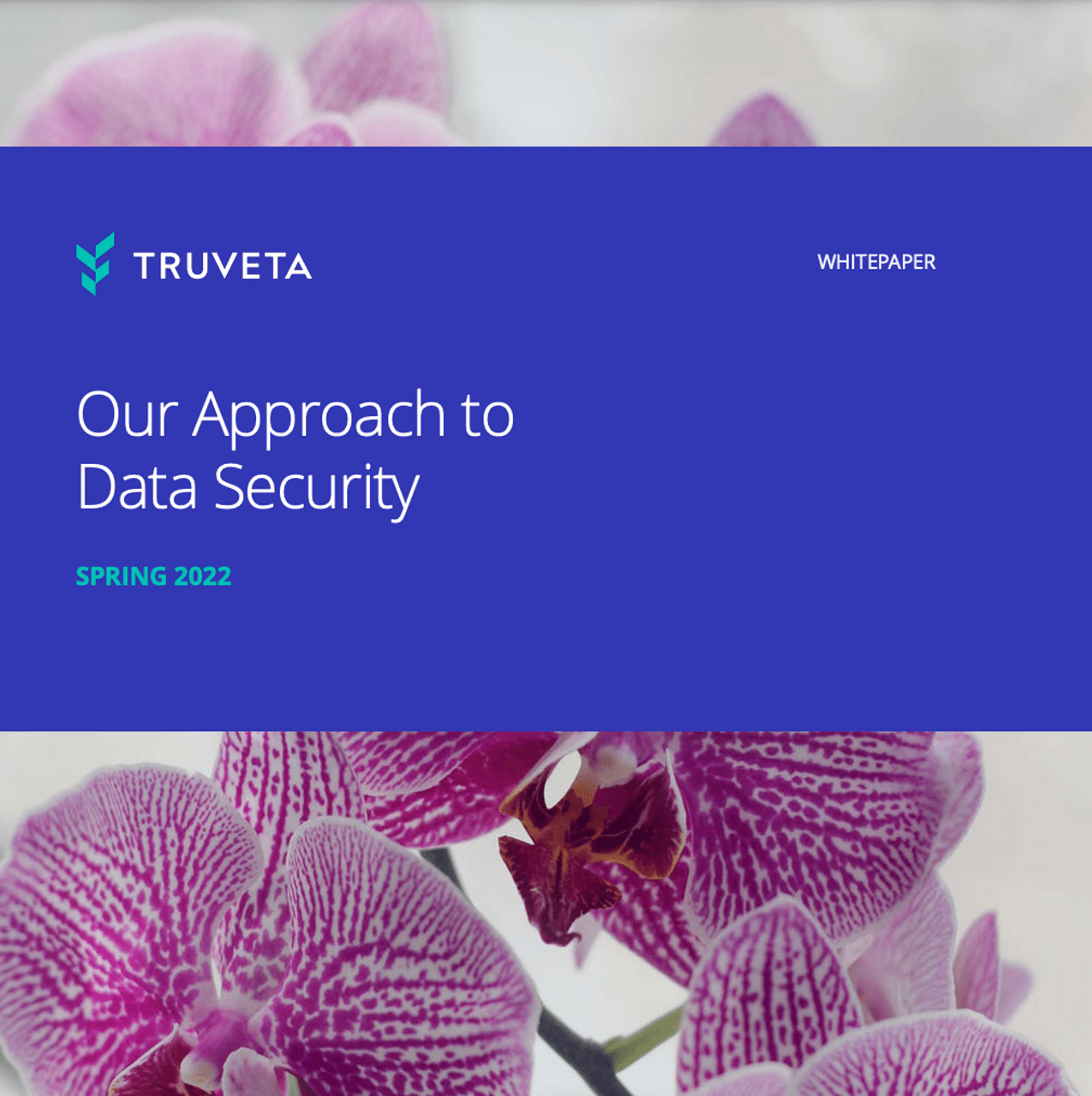 Truveta whitepaper Our Approach to Data Security report cover