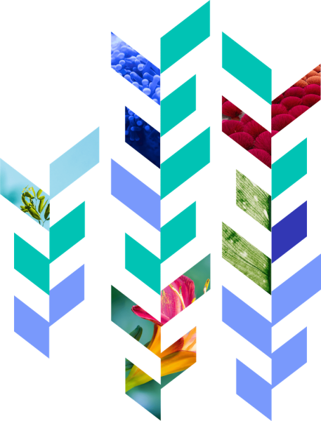 Abstract Truveta chevron pattern with layered teal and blue shapes interwoven with nature and science imagery on a black background.