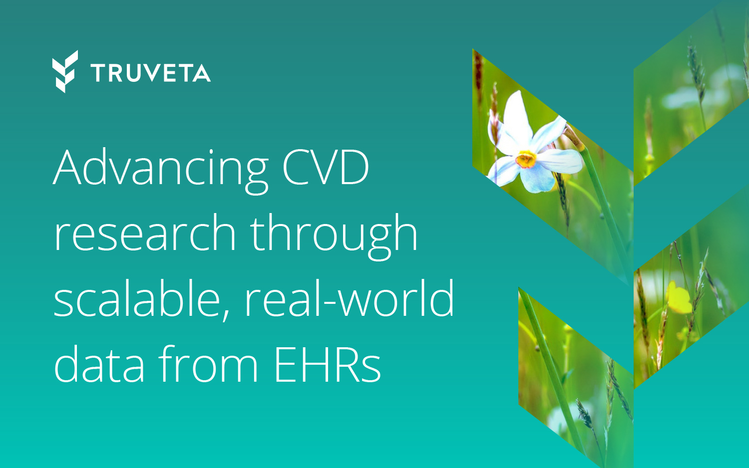 Extracting ejection fraction data from echo reports using AI