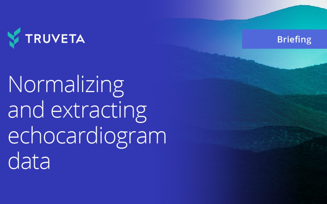 Normalizing and extracting echocardiogram data