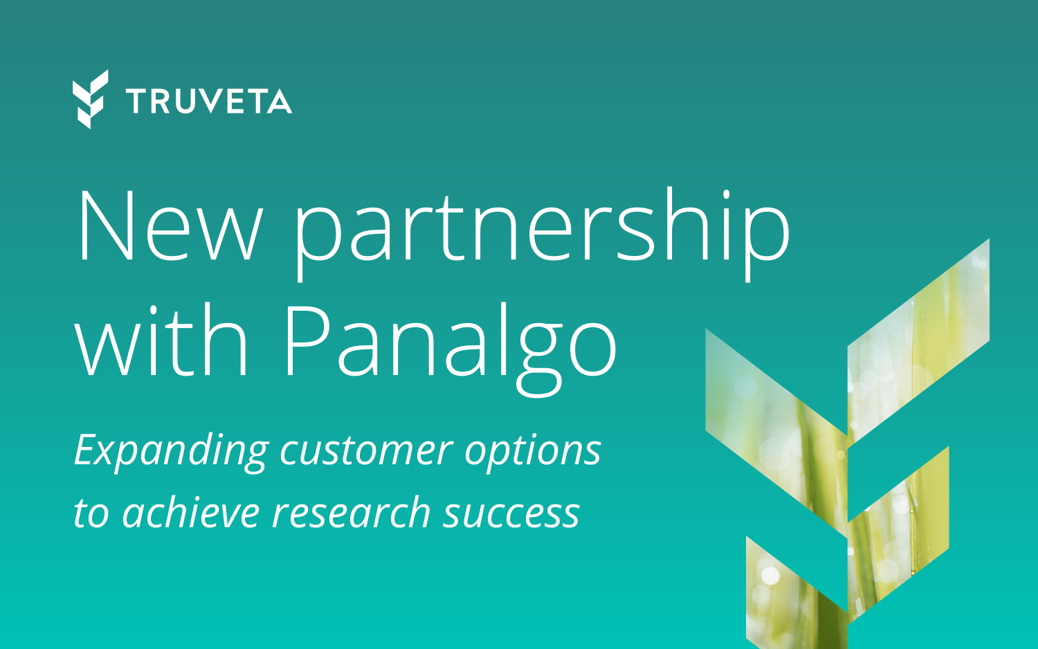 The Panalgo Instant Health Data (IHD) Analytics platform now supports Truveta Data.